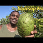 SourSop (Graviola) Leaves 60 Vegetable Capsules