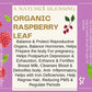 Organic  Raspberry Leaf  20 Bags